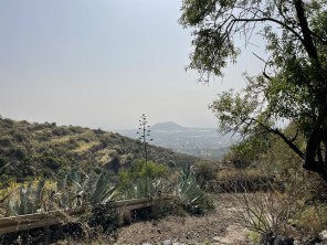 Vistas